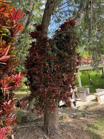 Lot-1 ESTANCIAS DE BEATRIZ DEV., BEATRIZ WARD, Cayey, PR 00736