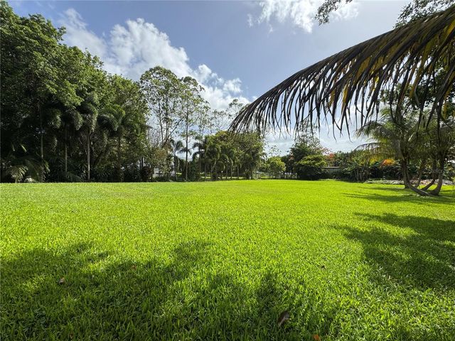 Lot-1 ESTANCIAS DE BEATRIZ DEV., BEATRIZ WARD, Cayey, PR 00736