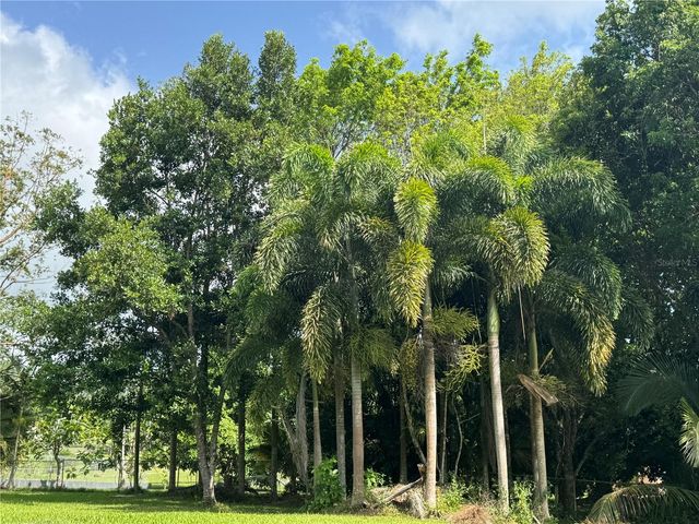Lot-1 ESTANCIAS DE BEATRIZ DEV., BEATRIZ WARD, Cayey, PR 00736
