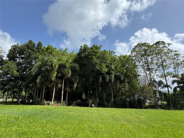 Lot-1 ESTANCIAS DE BEATRIZ DEV., BEATRIZ WARD, Cayey, PR 00736