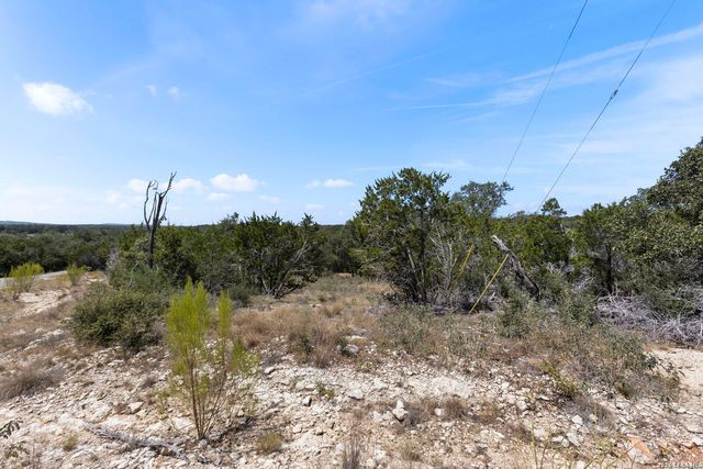 972 SERENE PARK DR, Spring Branch, TX 78070