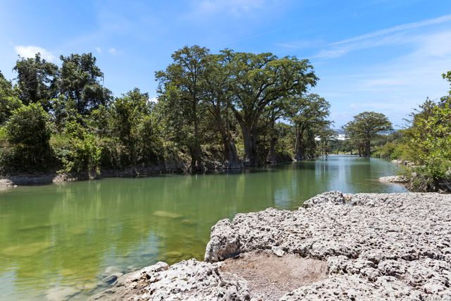 972 SERENE PARK DR, Spring Branch, TX 78070