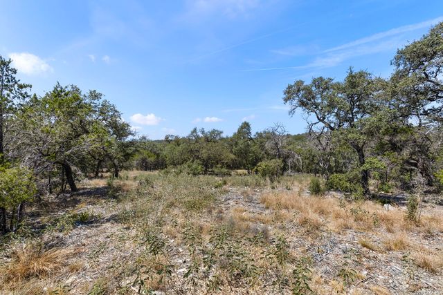 972 SERENE PARK DR, Spring Branch, TX 78070