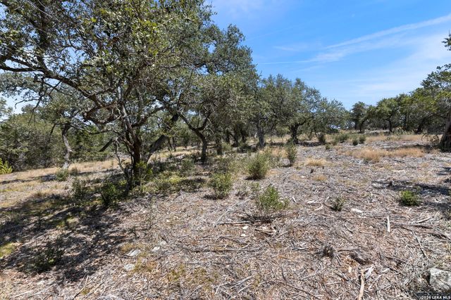 972 SERENE PARK DR, Spring Branch, TX 78070