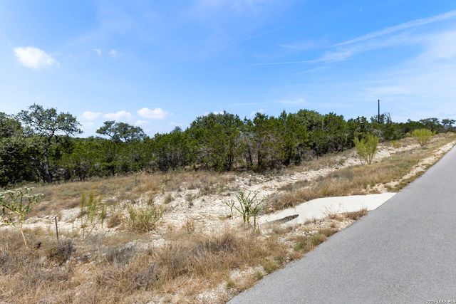 972 SERENE PARK DR, Spring Branch, TX 78070