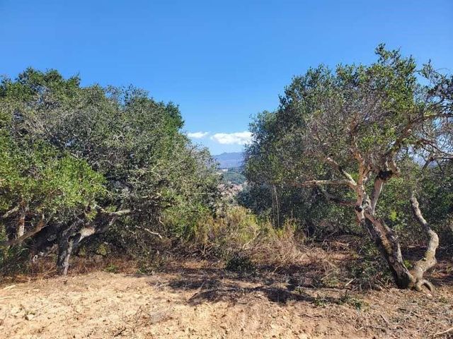 19705 Moonglow Road, Salinas, CA 93907