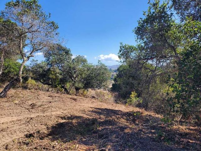 19705 Moonglow Road, Salinas, CA 93907