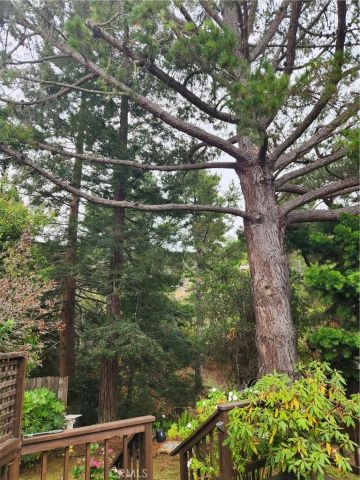 1909 Claire Dr, San Luis Obispo, CA 93405