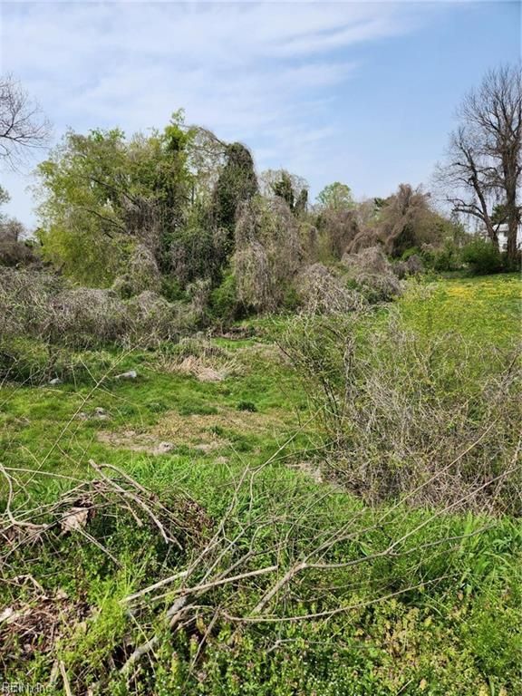 134 Mahan ST, Suffolk, VA 23434