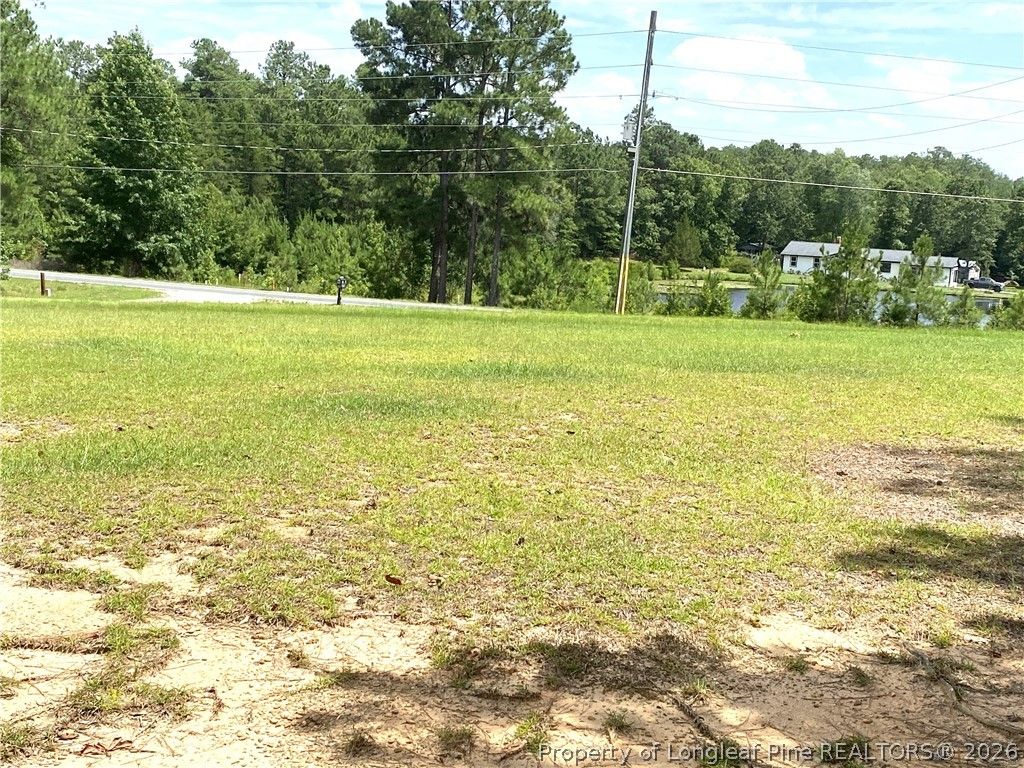3480 N Hillmon Grove Road W, Cameron, NC 28326 — photo 36