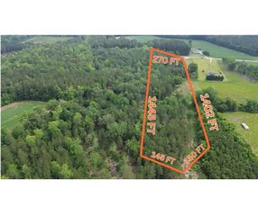 TBD Fries Bay Rd., Loris, SC 29569