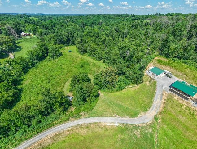557 Ward Hollow Road, Shelbyville, TN 37160