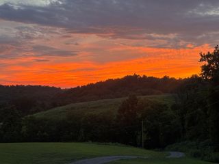 557 Ward Hollow Road, Shelbyville, TN 37160