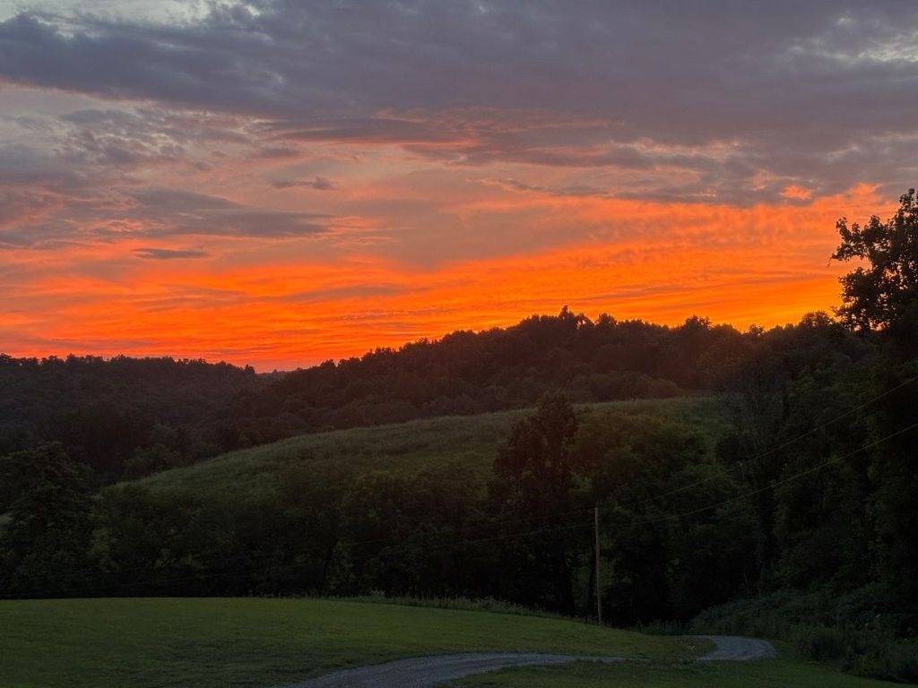 557 Ward Hollow Road, Shelbyville, TN 37160