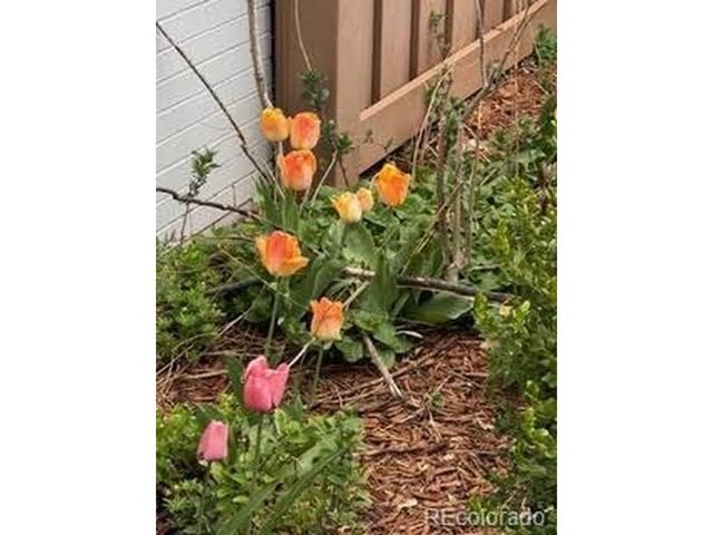 2209 Ash St, Denver, CO 80207