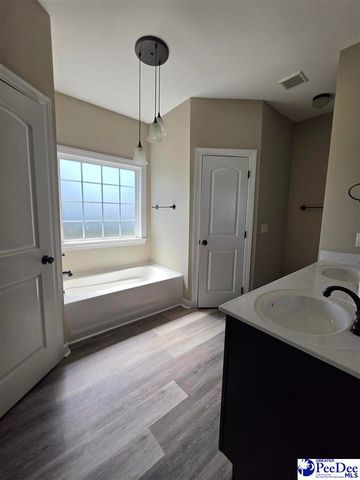 3022 Red Berry Circle, Effingham, SC 29541