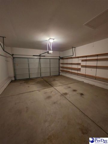 3022 Red Berry Circle, Effingham, SC 29541