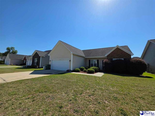 3022 Red Berry Circle, Effingham, SC 29541