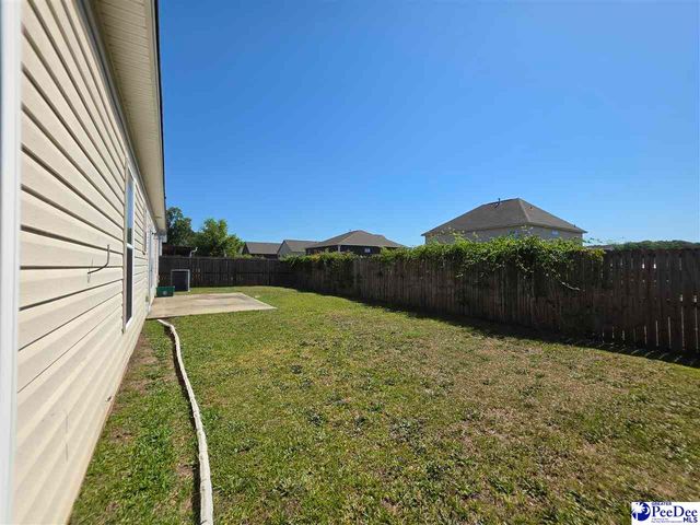 3022 Red Berry Circle, Effingham, SC 29541