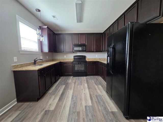 3022 Red Berry Circle, Effingham, SC 29541