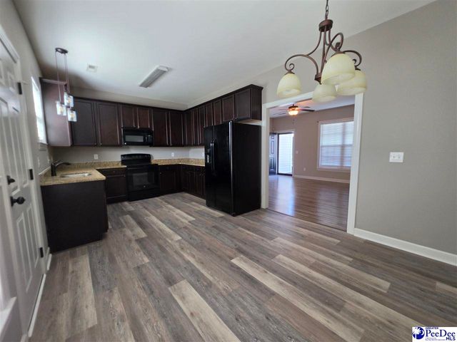 3022 Red Berry Circle, Effingham, SC 29541