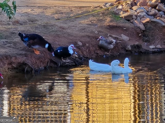 8322 Loch Lomand Lane, Winston, GA 30187