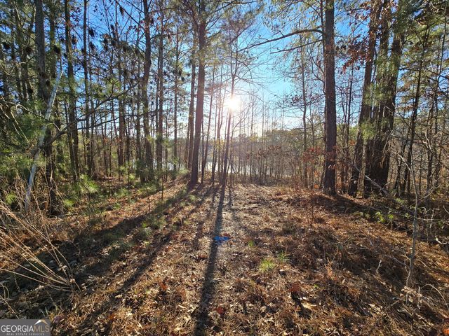 8322 Loch Lomand Lane, Winston, GA 30187