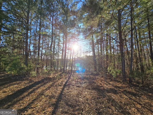 8322 Loch Lomand Lane, Winston, GA 30187