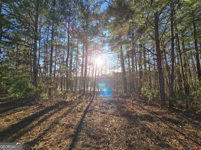 8322 Loch Lomand Lane, Winston, GA 30187