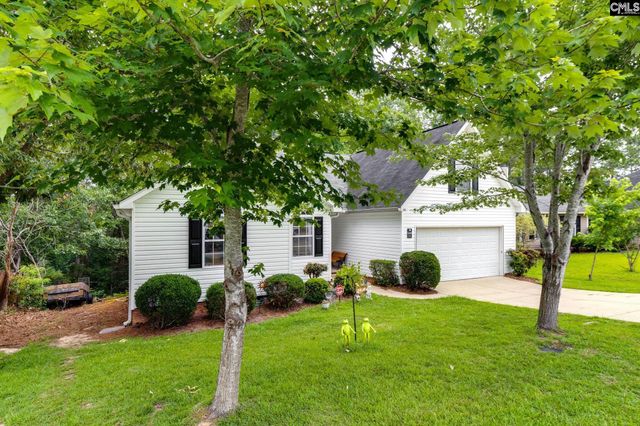 248 N High Duck Trail, Blythewood, SC 29016