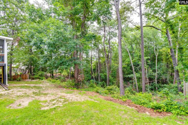 248 N High Duck Trail, Blythewood, SC 29016