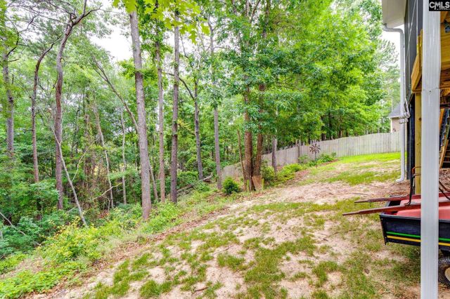 248 N High Duck Trail, Blythewood, SC 29016