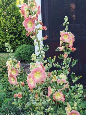 3848 ELIOT Road, Erie, PA 16508