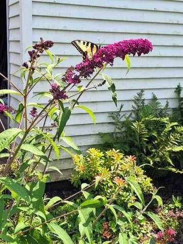 3848 ELIOT Road, Erie, PA 16508