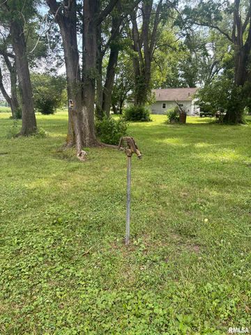 300 S PARK Street, Prairie City, IL 61470