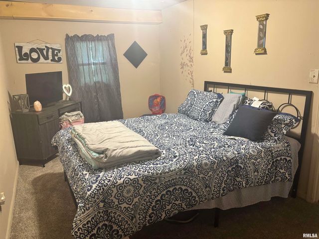 300 S PARK Street, Prairie City, IL 61470