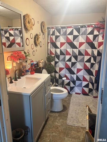 300 S PARK Street, Prairie City, IL 61470