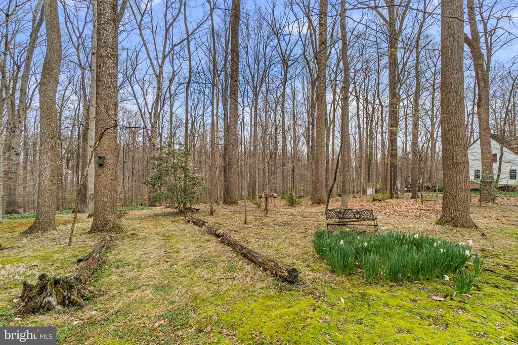 Image 44 of property listing at 7314 MEADOW WOOD WAY, Clarksville, MD 21029