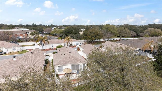 8702 SE 166TH BIRCHBROOK LOOP, The Villages, FL 32162