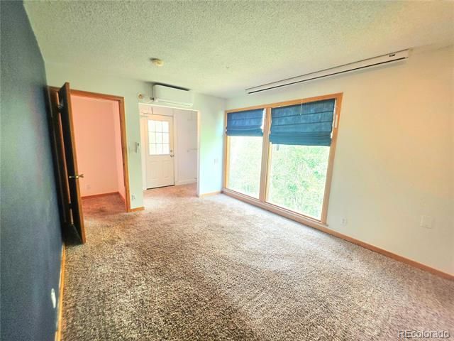 204 Bristlecone Way, Black Hawk, CO 80422