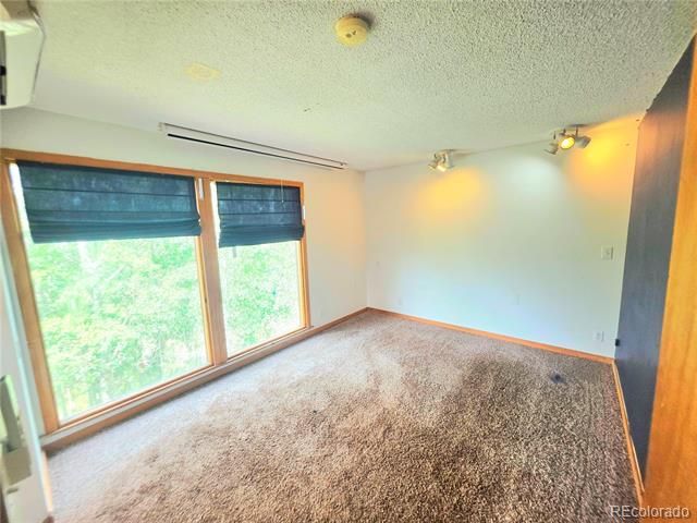204 Bristlecone Way, Black Hawk, CO 80422