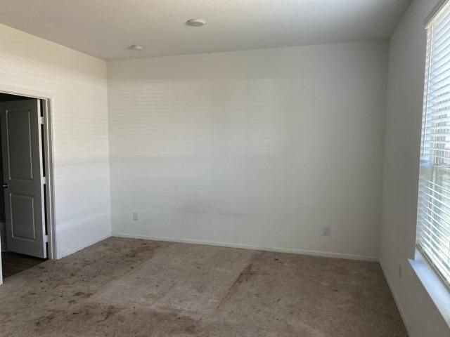 13562 Myrtle Gardens Boulevard, Magnolia, TX 77354