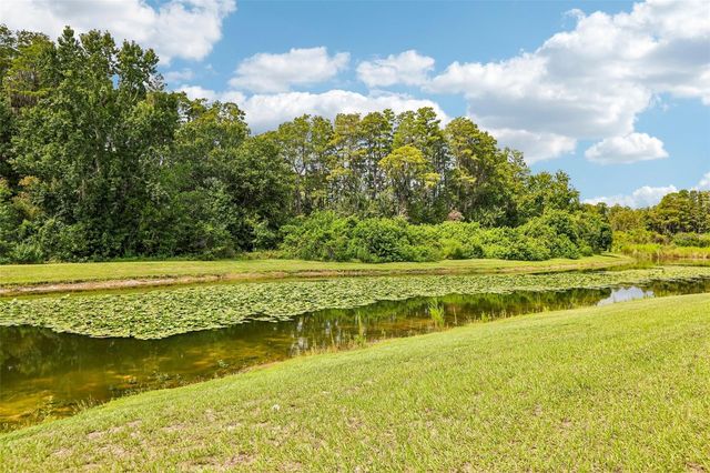 5903 CAPE LOOP, Land O Lakes, FL 34639