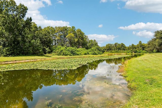 5903 CAPE LOOP, Land O Lakes, FL 34639