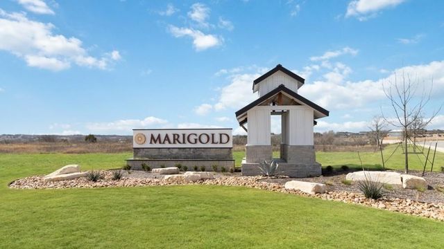 165 ORANGE FLAME BLVD, Kyle, TX 78640