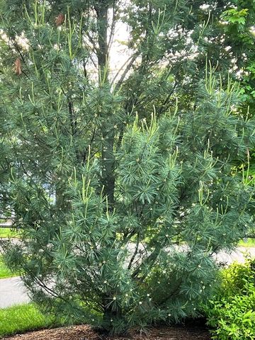 1 Baker Ave, Concord, MA 01742