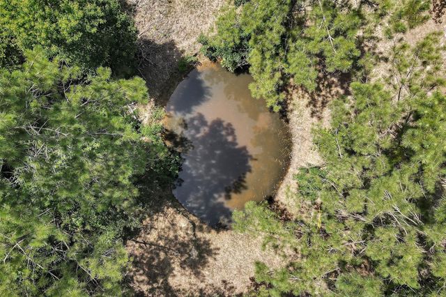 7576 Greenwood Drive, Cleveland, TX 77328