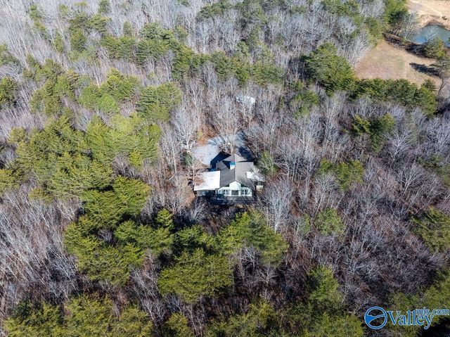 288 Road 9072, Mentone, AL 35984