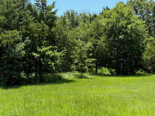 52 Coyote Creek Drive, Gordonville, TX 76245