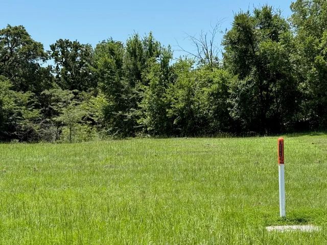 52 Coyote Creek Drive, Gordonville, TX 76245
